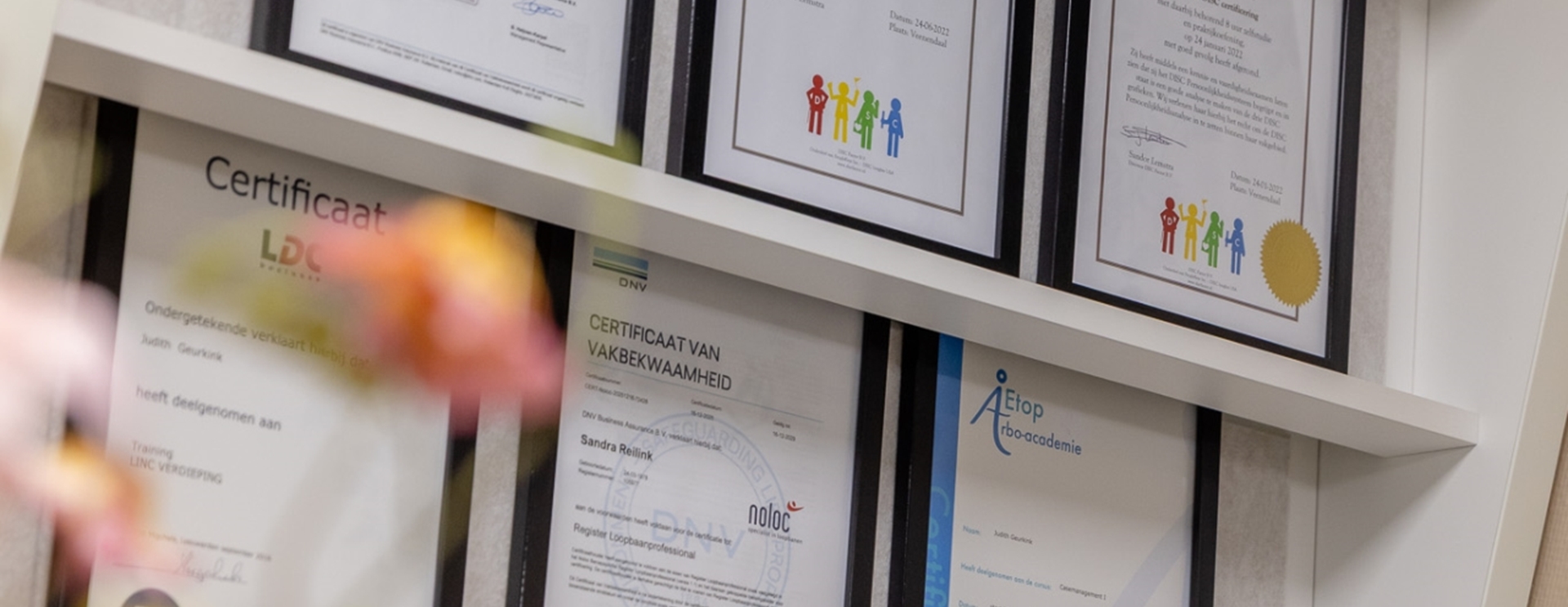 Profielanalyse: Talentenpaspoort & DISC