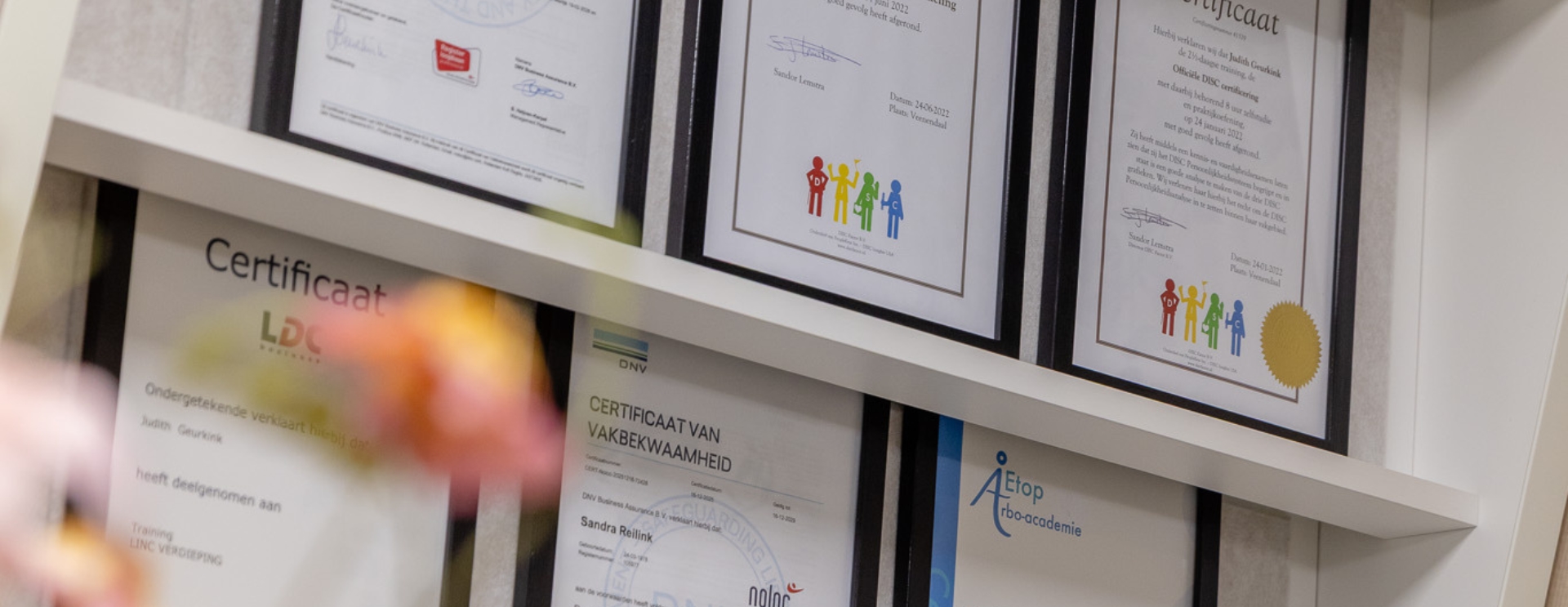 Teamontwikkeling voor organisaties